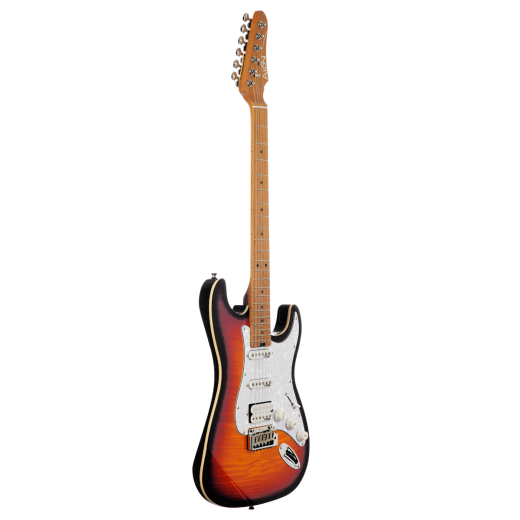 Aion H-10 dark brown burst(2)