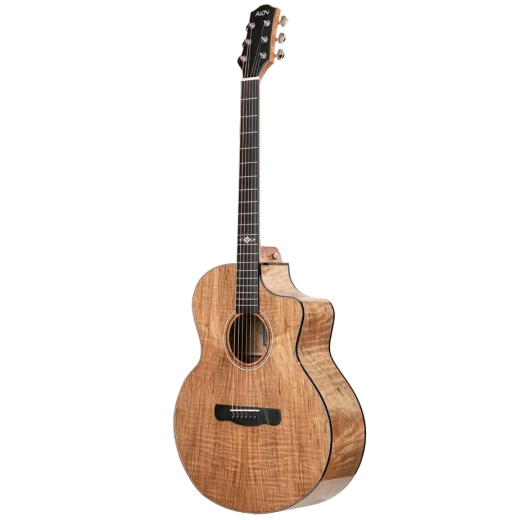 Aion M10 (2)
