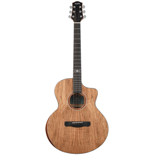 Aion M10 (1)