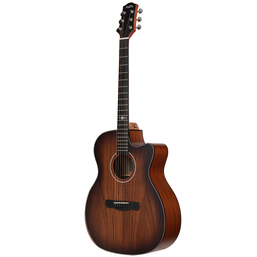 Aion S10M (2)